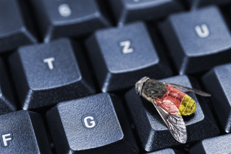 Fliege auf Computertastatur, Symbolfoto Bundestrojaner.