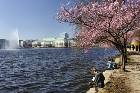 Fr�hlingsbl�te an der Binnenalster in Hamburg.